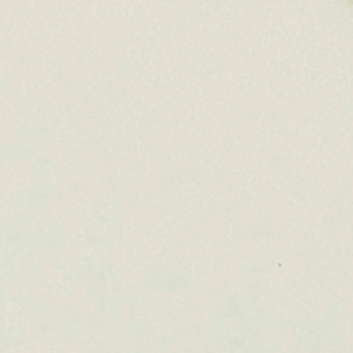 CEINTURE TEHORA - Image 5